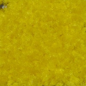Lemon Yellow